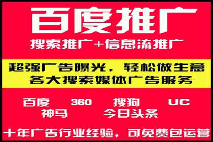 顶级SEM运营公司案例分析